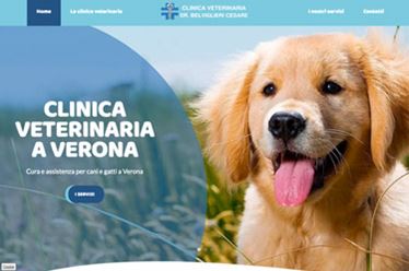 Sito web Belviglieri veterinario