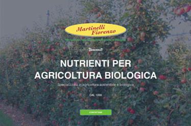 Sito web Martinelli Fiorenzo